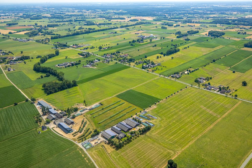 Luftbild Hamminkeln - Molkerei - Werksgelände Landwirtschaftliche Hofmolkerei Heesen in Hamminkeln im Bundesland Nordrhein-Westfalen, Deutschland