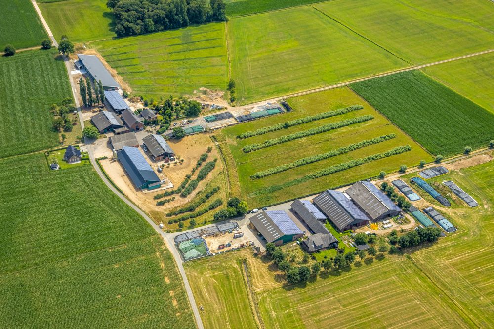 Luftaufnahme Hamminkeln - Molkerei - Werksgelände Landwirtschaftliche Hofmolkerei Heesen in Hamminkeln im Bundesland Nordrhein-Westfalen, Deutschland