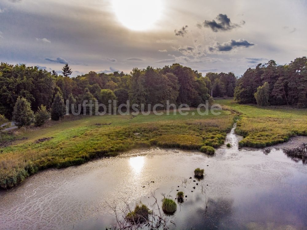 Luftaufnahme Joachimsthal - Moor am Lindeseegraben in Joachimsthal im Bundesland Brandenburg, Deutschland