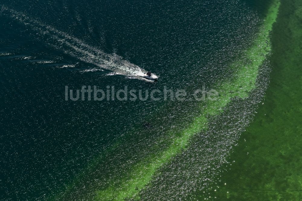 Luftaufnahme Radolfzell am Bodensee - Motorboot in Fahrt im Küstengebiet der Helbinsel Mettnau in Radolfzell am Bodensee im Bundesland Baden-Württemberg, Deutschland