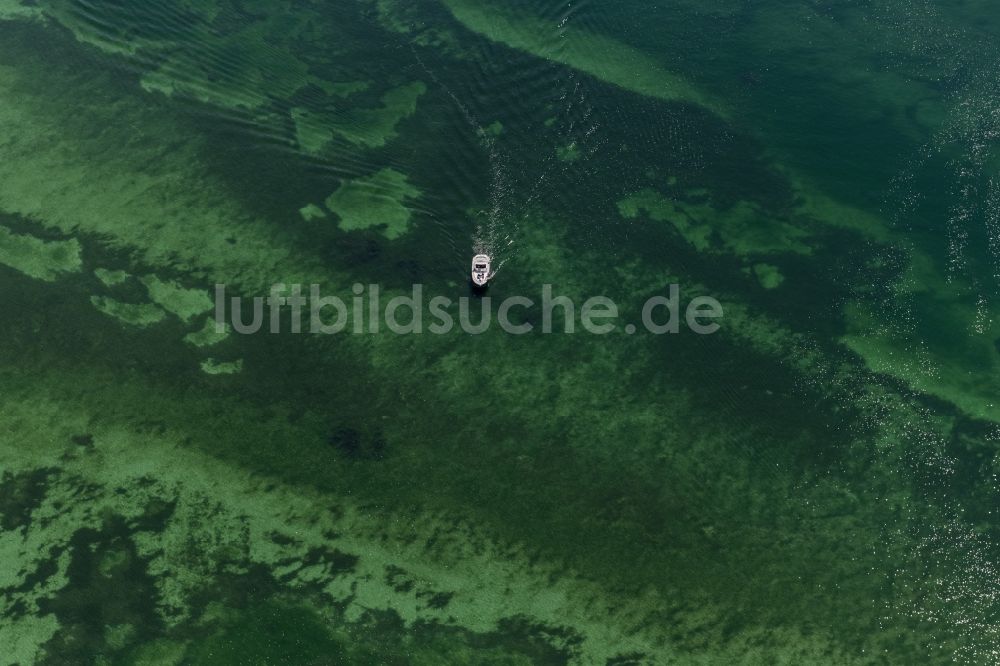 Radolfzell am Bodensee von oben - Motorboot in Fahrt im Küstengebiet der Helbinsel Mettnau in Radolfzell am Bodensee im Bundesland Baden-Württemberg, Deutschland