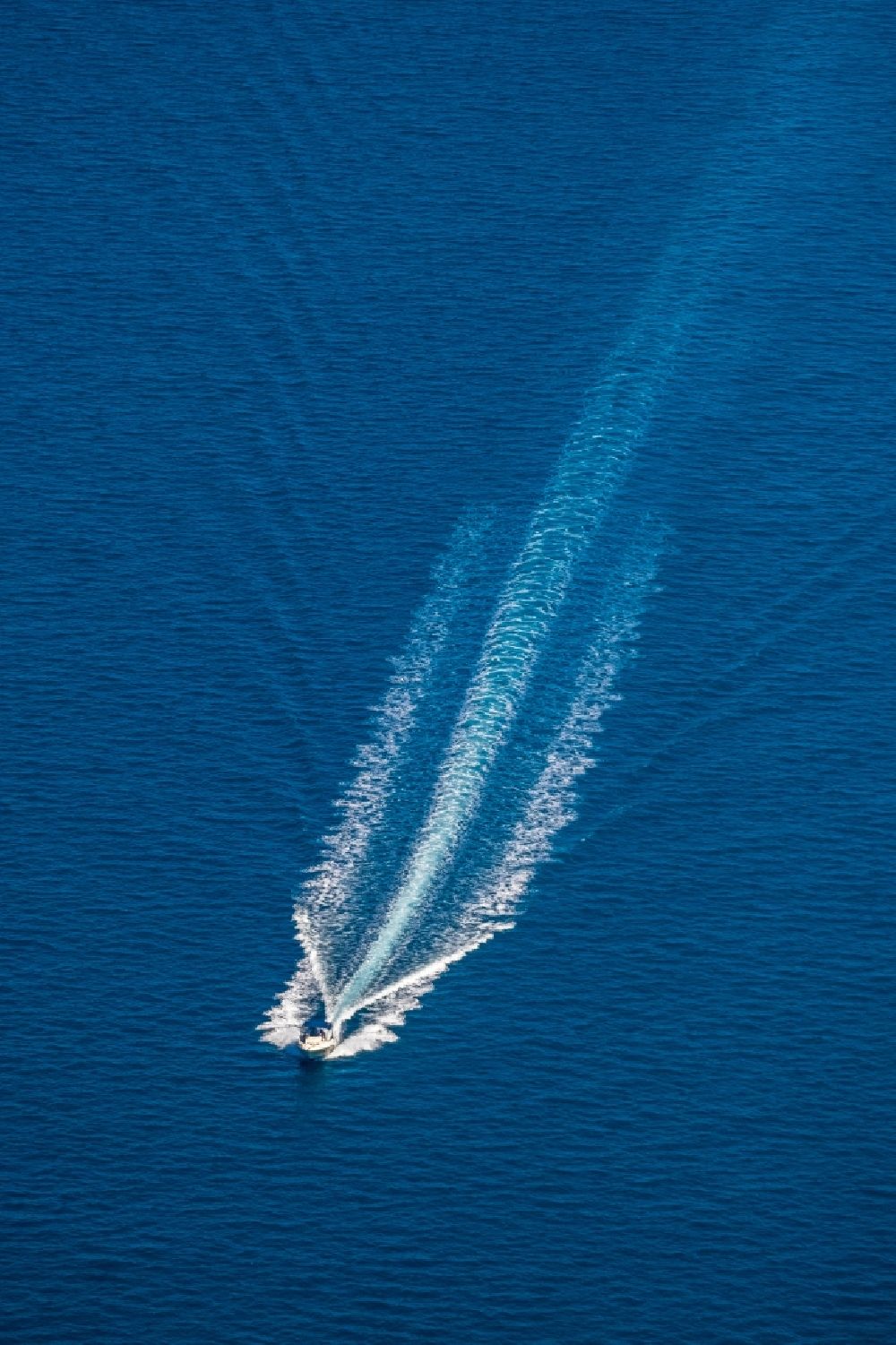 Alcudia von oben - Motorboot - Schnellboot in Fahrt in der Bucht von Alcudia in Alcudia in Balearische Insel Mallorca, Spanien