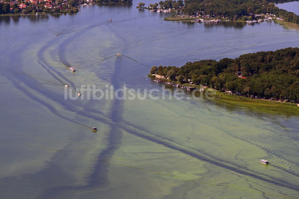 Schwielowsee von oben - Motorboote in Fahrt auf dem Templiner See in Capruth im Bundesland Brandenburg, Deutschland