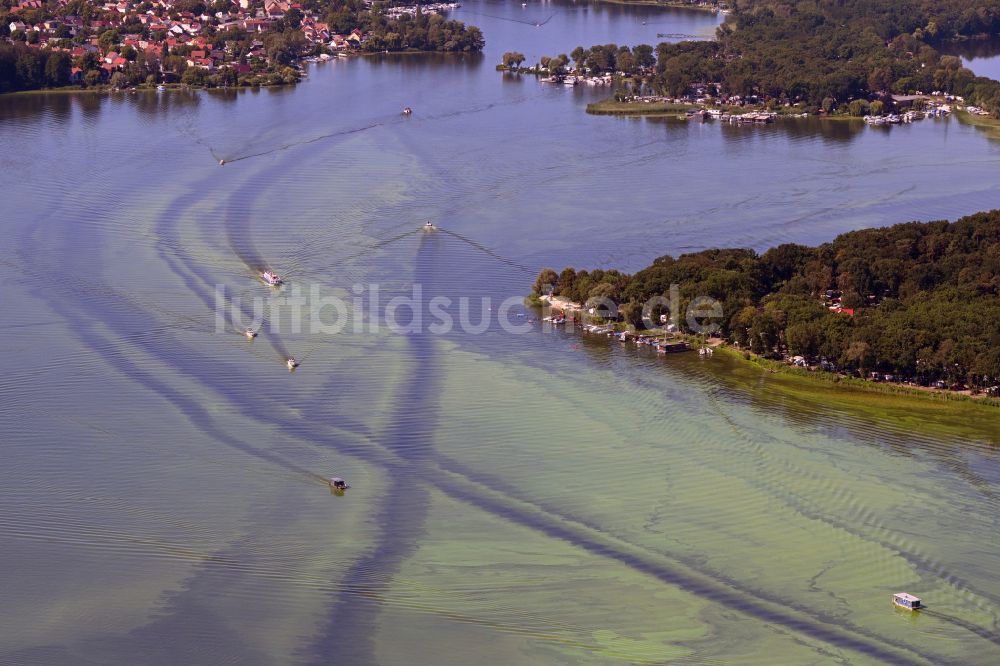 Schwielowsee von oben - Motorboote in Fahrt auf dem Templiner See in Capruth im Bundesland Brandenburg, Deutschland
