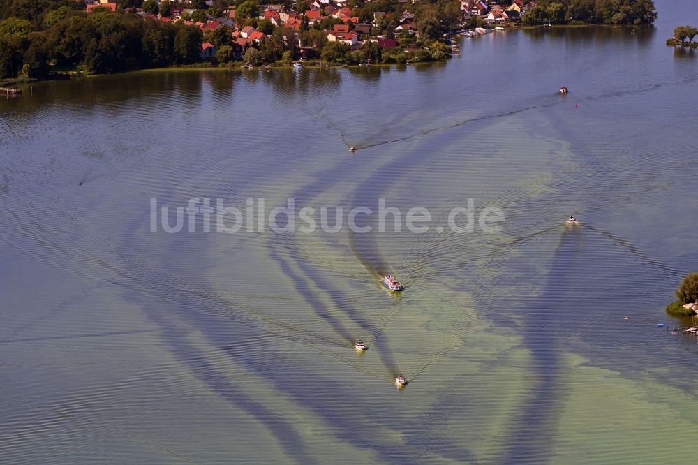 Schwielowsee aus der Vogelperspektive: Motorboote in Fahrt auf dem Templiner See in Capruth im Bundesland Brandenburg, Deutschland