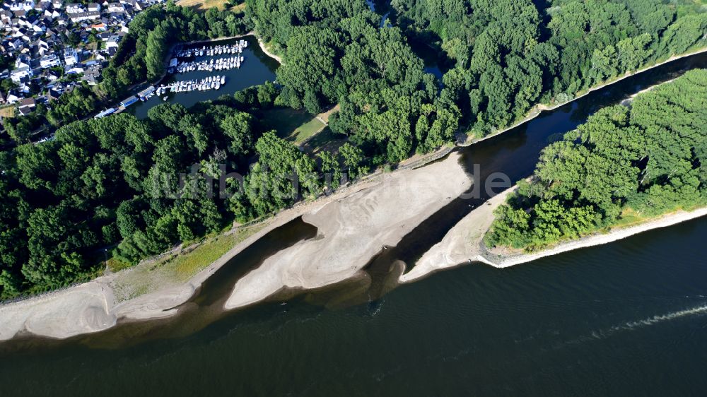 Luftbild Niederkassel - Mündung der Sieg in den Rhein bei Niedrigwasser in Niederkassel im Bundesland Nordrhein-Westfalen, Deutschland