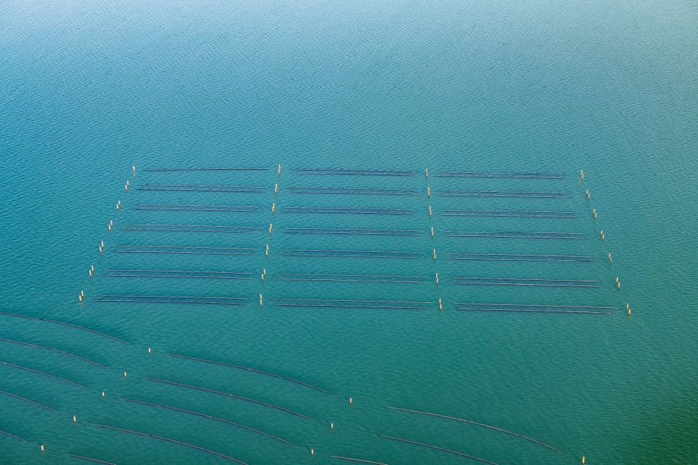 Luftbild Hörnum (Sylt) - Muschelzucht- Fangnetze an der Küste vor Hörnum (Sylt) im Bundesland Schleswig-Holstein, Deutschland