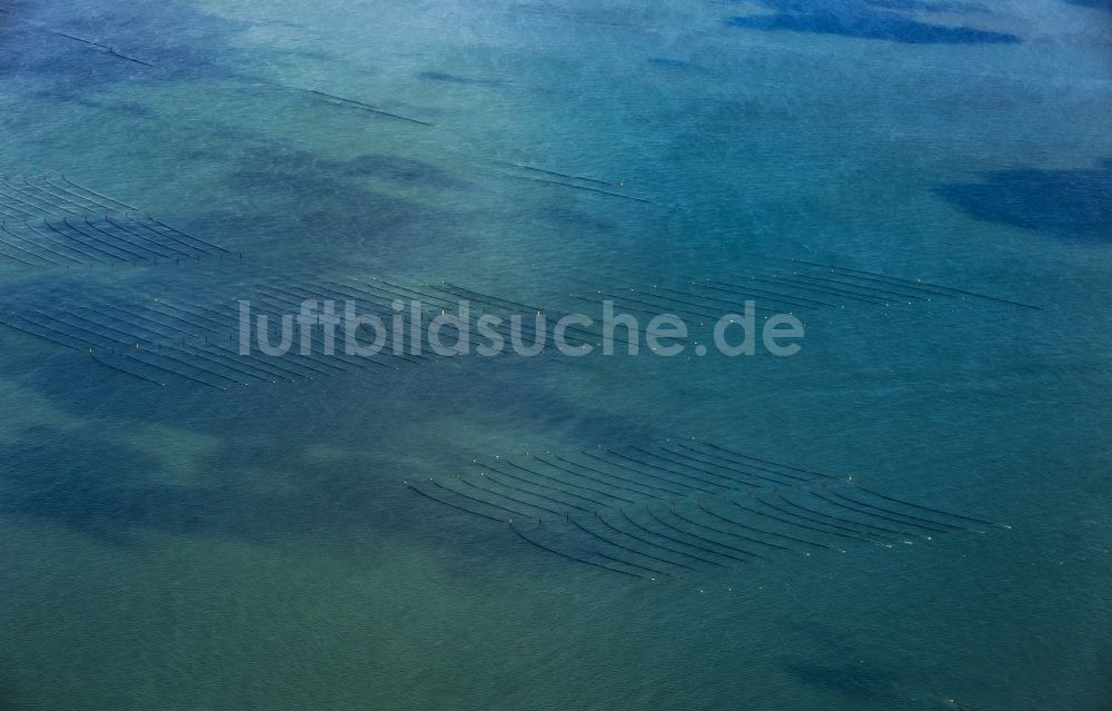 Hörnum (Sylt) aus der Vogelperspektive: Muschelzucht und Fangnetze an der Küste vor Hörnum (Sylt) im Bundesland Schleswig-Holstein, Deutschland