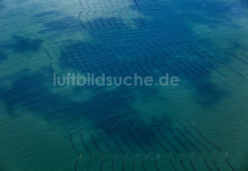 Luftbild Hörnum (Sylt) - Muschelzucht und Fangnetze an der Küste vor Hörnum (Sylt) im Bundesland Schleswig-Holstein, Deutschland