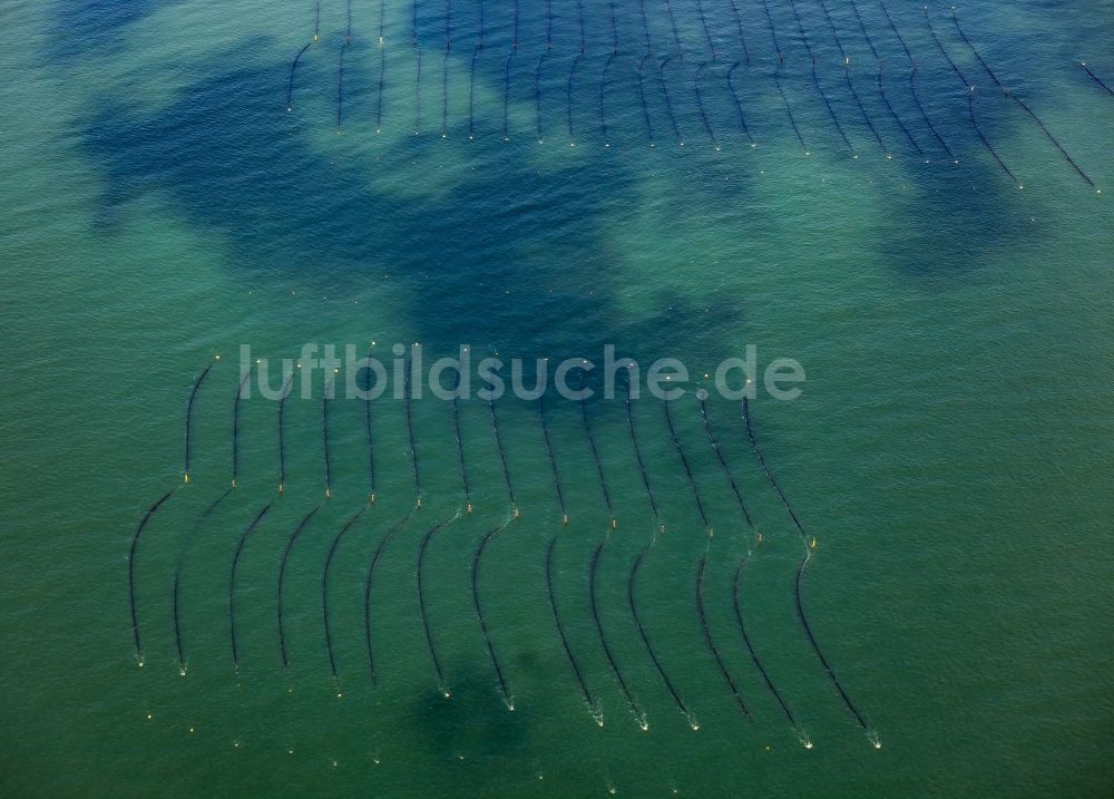 Luftaufnahme Hörnum (Sylt) - Muschelzucht und Fangnetze an der Küste vor Hörnum (Sylt) im Bundesland Schleswig-Holstein, Deutschland