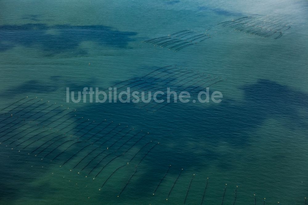 Hörnum (Sylt) aus der Vogelperspektive: Muschelzucht und Fangnetze an der Küste vor Hörnum (Sylt) im Bundesland Schleswig-Holstein, Deutschland