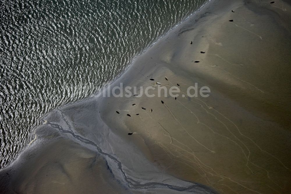 Luftaufnahme Borkum - Nationalpark Niedersächsisches Wattenmeer im Bundesland Niedersachsen