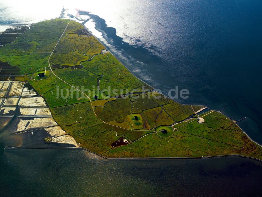 Luftaufnahme Hooge Nationalpark Schleswig Holsteinisches Wattenmeer Im Bundesland Schleswig Holstein