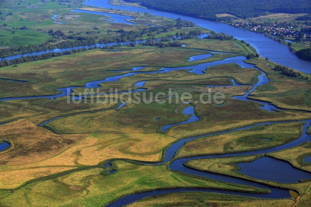 Luftaufnahme Schwedt/Oder - Nationalpark Unteres Odertal bei Schwedt/Oder im Bundesland Brandenburg