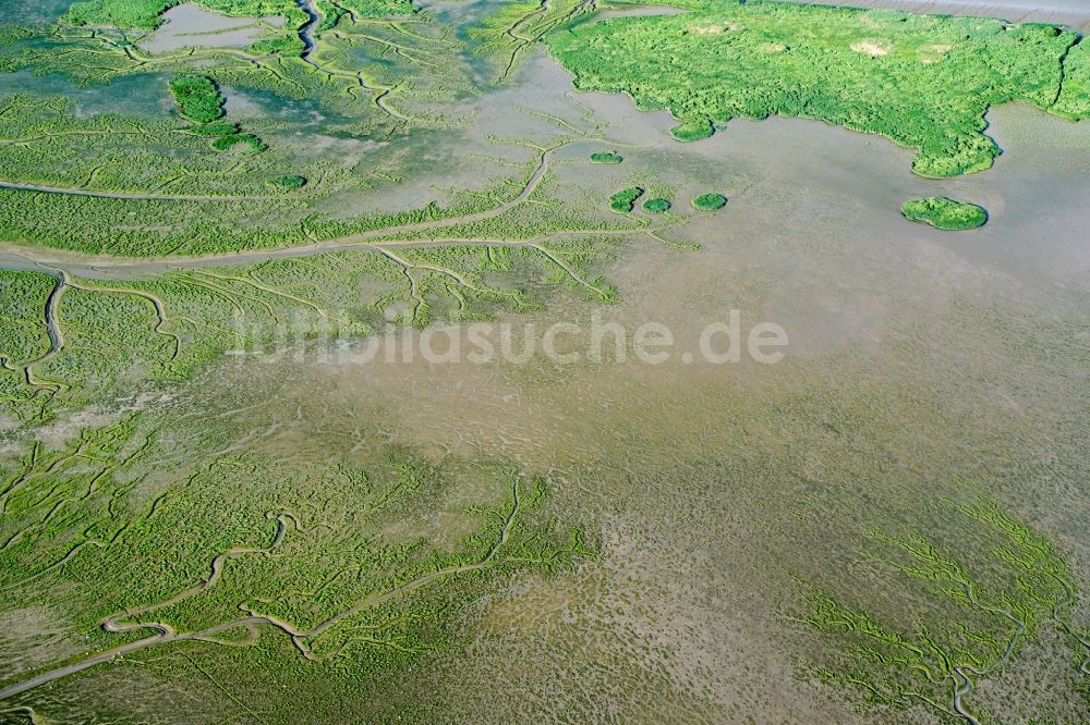 Luftbild Haselau - Naturschutzgebiet der Insel Pagensand in Haselau im Bundesland Schleswig-Holstein, Deutschland