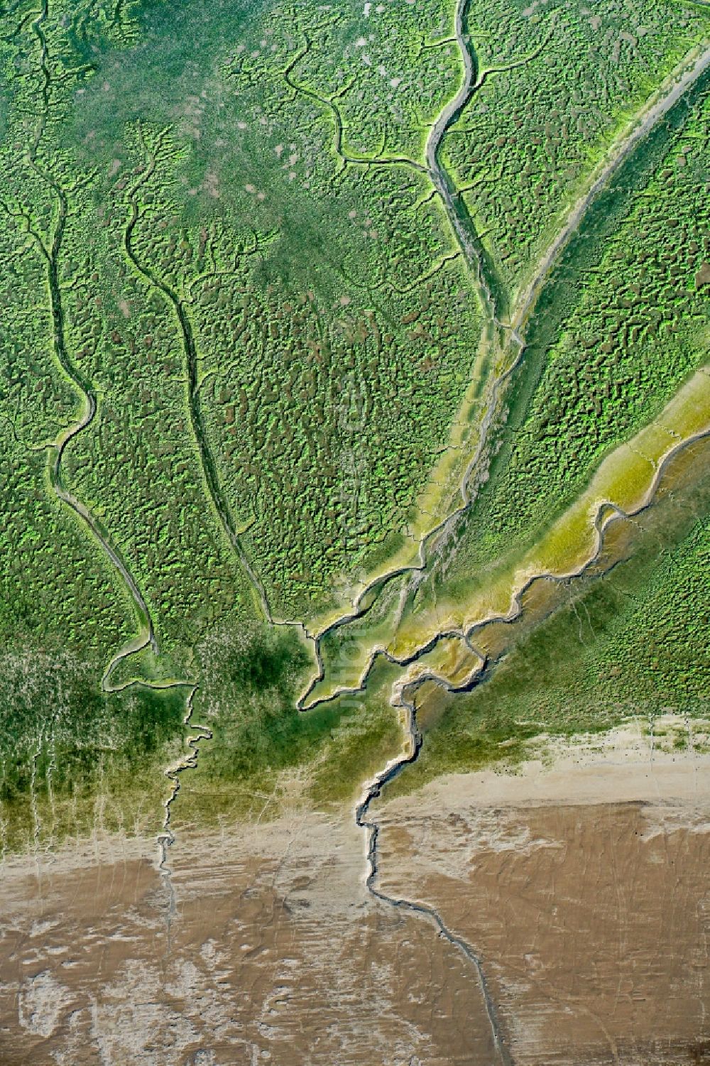 Luftaufnahme Haselau - Naturschutzgebiet der Insel Pagensand in Haselau im Bundesland Schleswig-Holstein, Deutschland