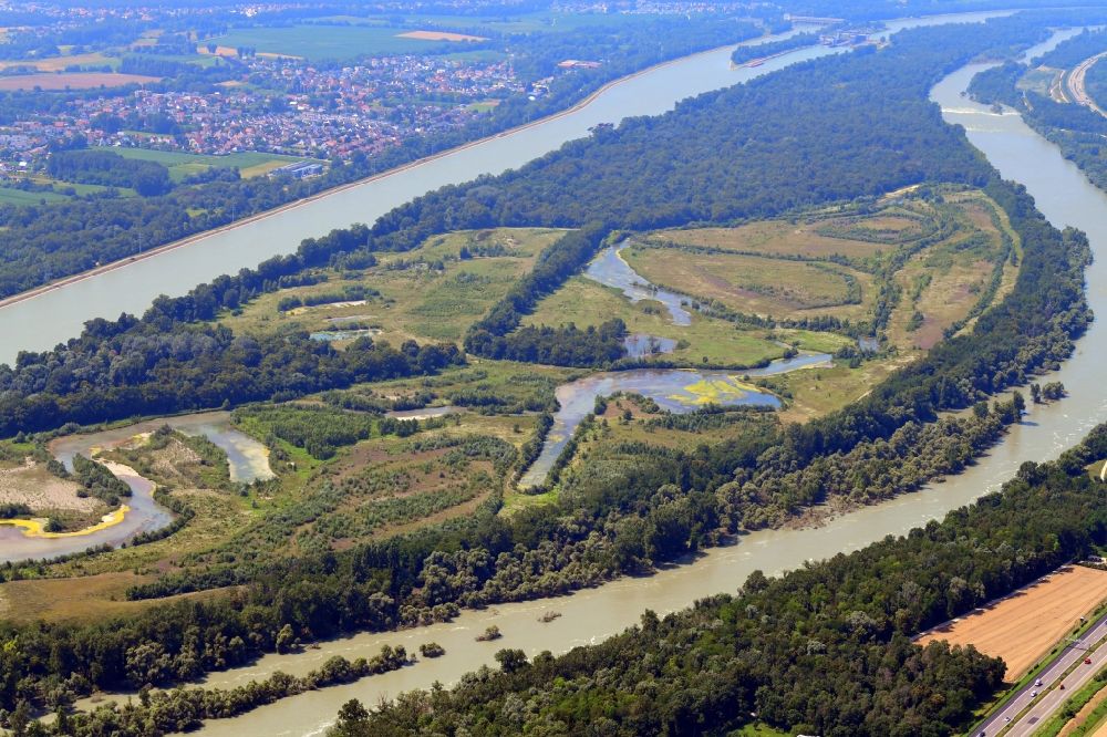 Luftaufnahme Village-Neuf - Naturschutzgebiet l'Ile du Rhin auf der Rheininsel zwischen Rheinseitenkanal und Oberrhein bei Village-Neuf in Grand Est, Frankreich