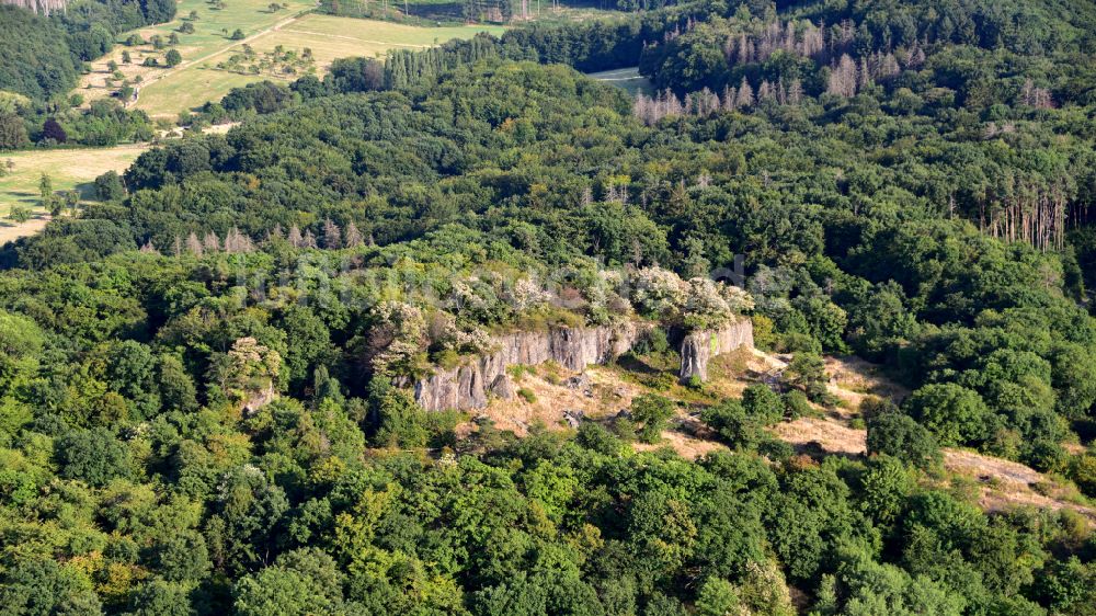 Königswinter aus der Vogelperspektive: Naturschutzgebiet Stenzelberg im Siebengebirge in Königswinter im Bundesland Nordrhein-Westfalen, Deutschland