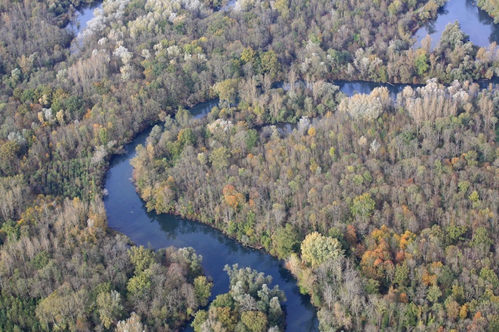 Luftaufnahme Rheinau - Naturschutzgebiet Taubergiessen in Rheinau im Bundesland Baden-Württemberg