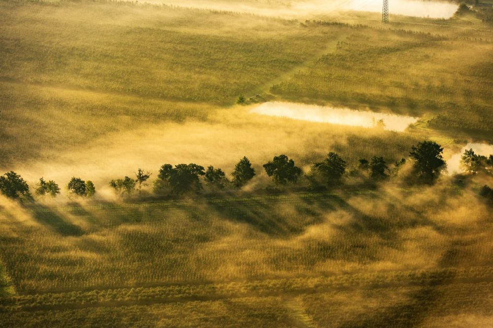 Luftbild Hollern-Twielenfleth - Nebel einer Obstplantage in Twielenfleth Altes Land in Stade im Bundesland Niedersachsen, Deutschland