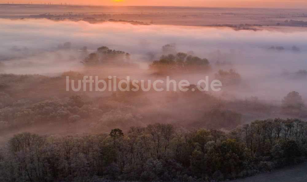 Luftbild Klessin - Nebel- und Wolken- Schicht über einem Waldgebiet in Klessin im Bundesland Brandenburg, Deutschland