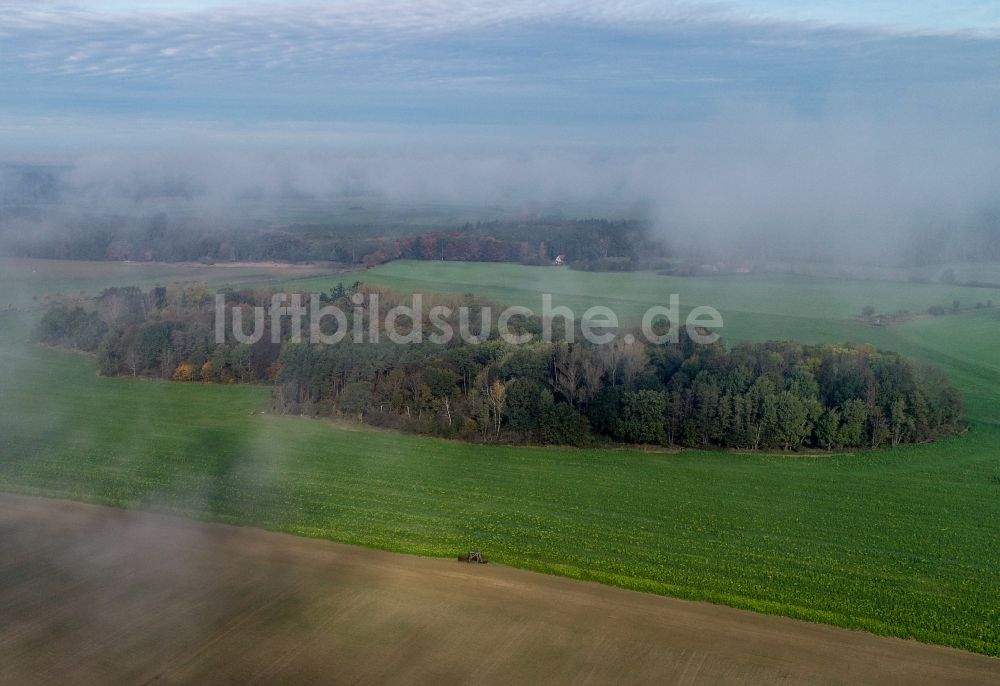 Luftbild Bad Saarow - Nebel- und Wolken- Schicht über Feldern in Bad Saarow im Bundesland Brandenburg, Deutschland