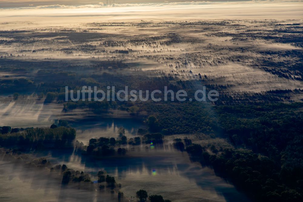 Luftaufnahme Schweighofen - Nebel- und Wolken- Schicht über Wald- und Forstgebieten in Schweighofen im Bundesland Rheinland-Pfalz, Deutschland
