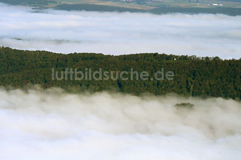 Luftbild Holzminden - Nebel- und Wolken- Schicht über Wald- und Forstlandschaften in Holzminden im Bundesland Niedersachsen, Deutschland