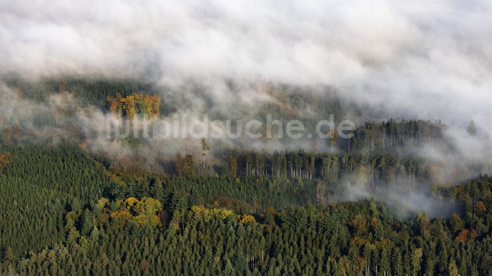 Luftbild Pöttmes - Nebel- und Wolken- Schicht über dem Wald in Pöttmes im Bundesland Bayern, Deutschland
