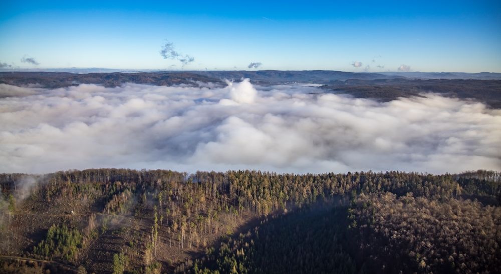 Arnsberg aus der Vogelperspektive: Nebel- und Wolken- Schicht über dem Waldgebiet in Arnsberg im Bundesland Nordrhein-Westfalen, Deutschland