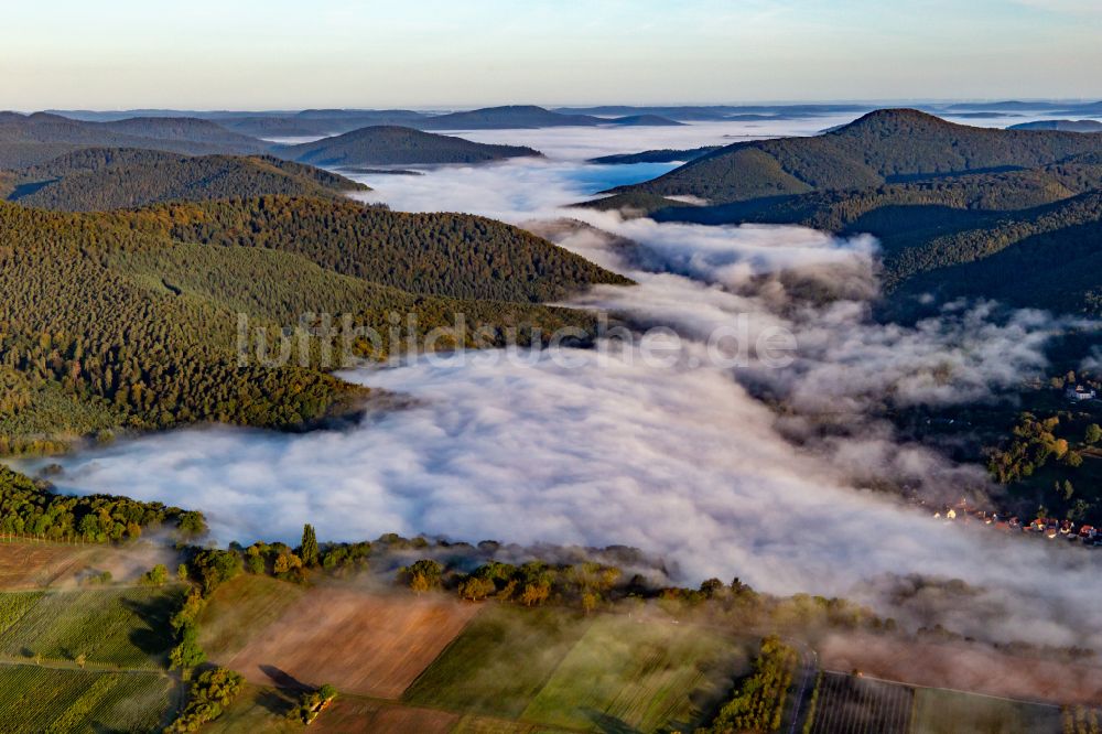 Bobenthal aus der Vogelperspektive: Nebel- und Wolken- Schicht über Waldgebieten und Bergketten in Bobenthal im Bundesland Rheinland-Pfalz, Deutschland