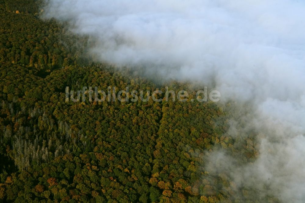 Ober-Mörlen aus der Vogelperspektive: Nebel- und Wolken- Schicht über Waldgebieten in Ober-Mörlen im Bundesland Hessen, Deutschland
