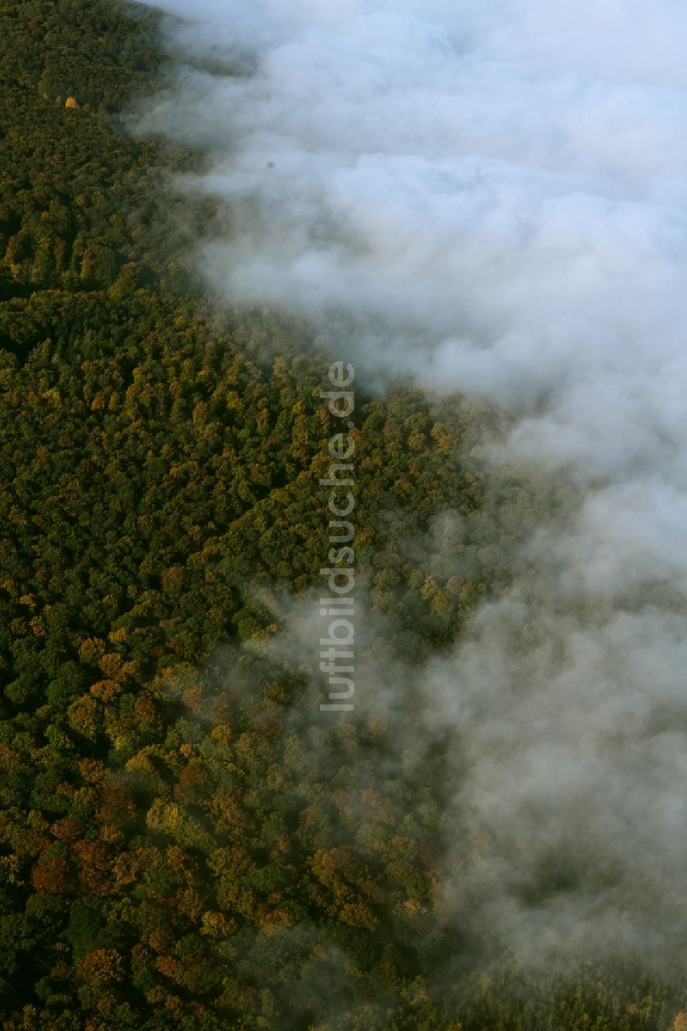 Luftbild Ober-Mörlen - Nebel- und Wolken- Schicht über Waldgebieten in Ober-Mörlen im Bundesland Hessen, Deutschland