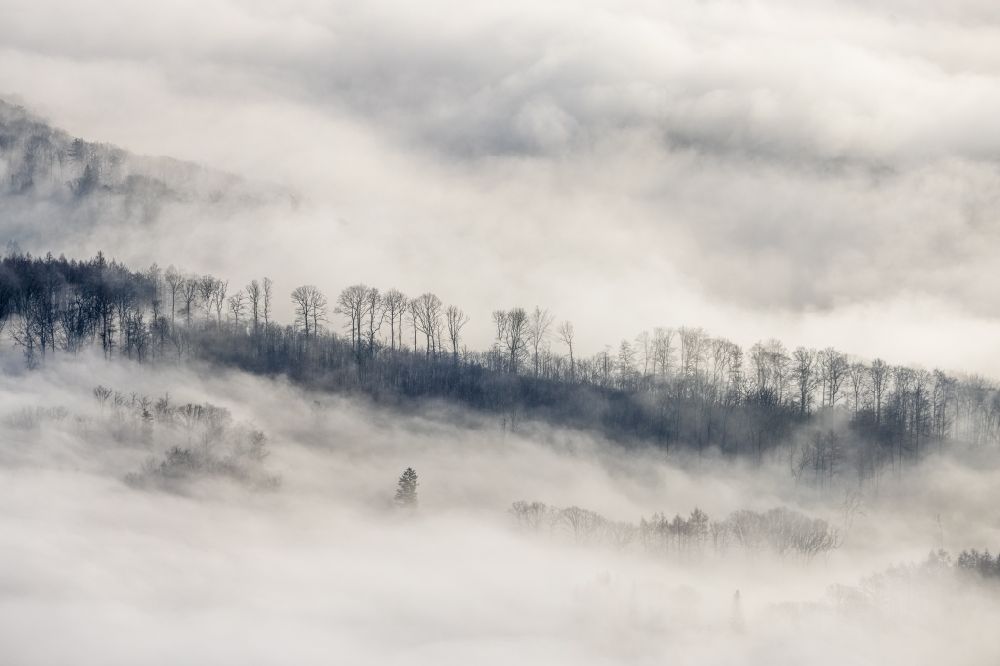 Arnsberg aus der Vogelperspektive: Nebel- und Wolken- Schicht im Wildwald Voßwinkel in Arnsberg im Bundesland Nordrhein-Westfalen, Deutschland