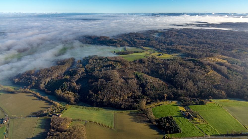 Luftbild Arnsberg - Nebel- und Wolken- Schicht im Wildwald Voßwinkel in Arnsberg im Bundesland Nordrhein-Westfalen, Deutschland