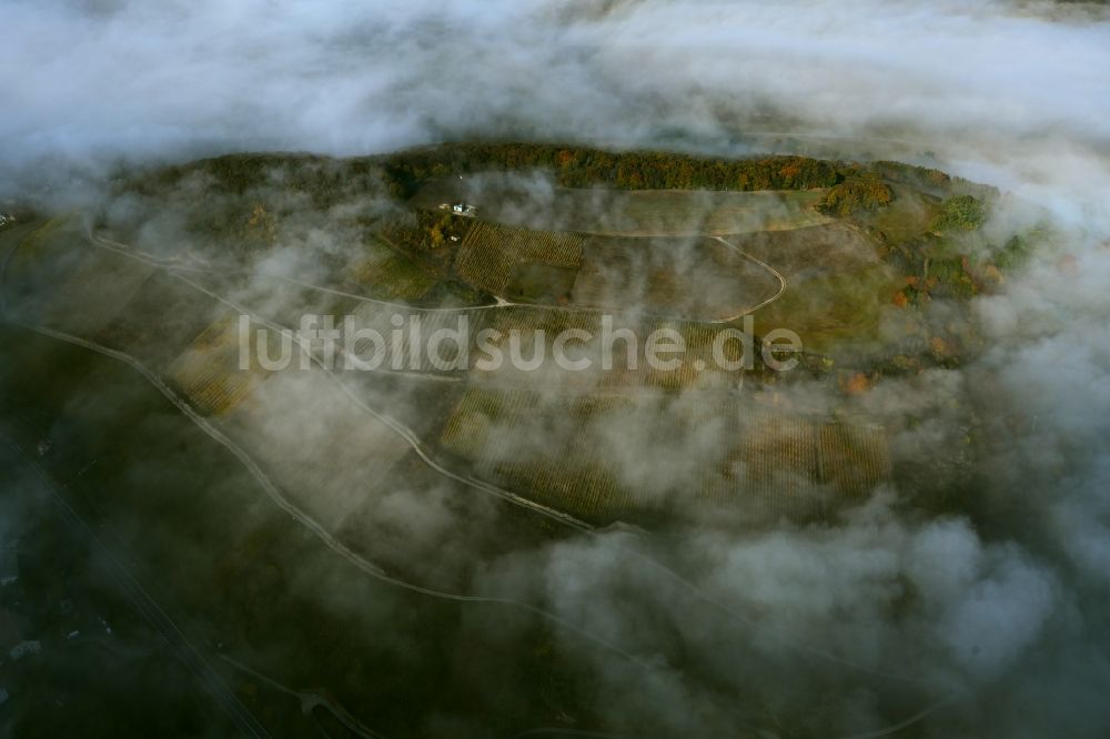 Luftaufnahme Niedermoschel - Nebelschicht über Weinbergs- Landschaft der Winzer- Gebiete in Niedermoschel im Bundesland Rheinland-Pfalz, Deutschland