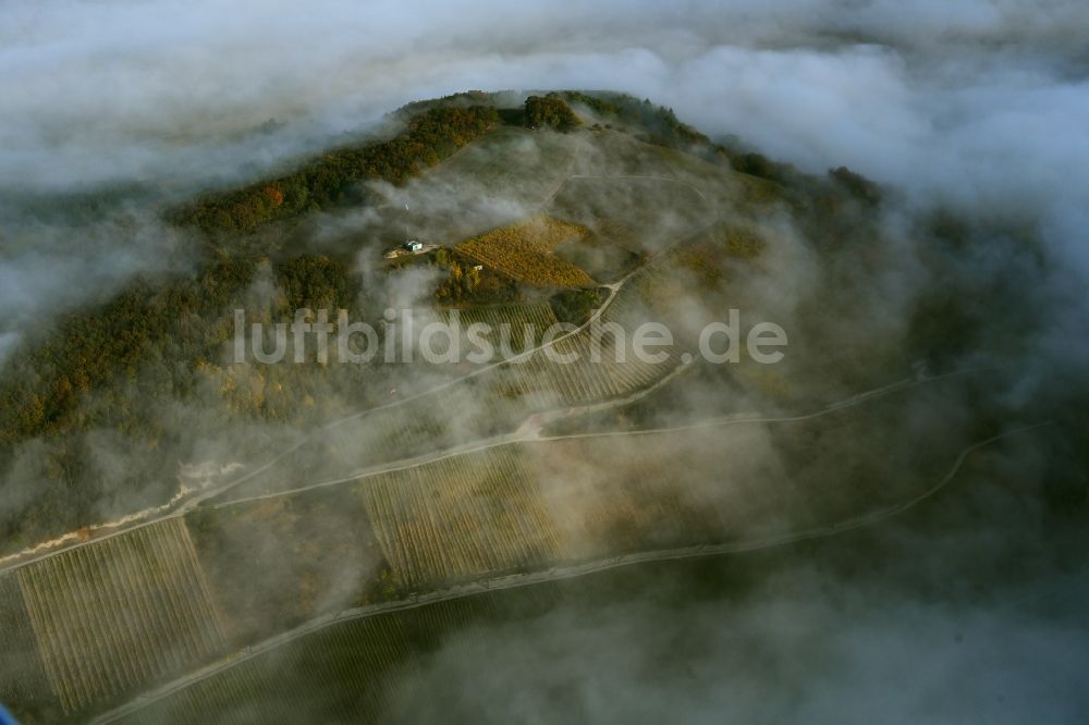Niedermoschel aus der Vogelperspektive: Nebelschicht über Weinbergs- Landschaft der Winzer- Gebiete in Niedermoschel im Bundesland Rheinland-Pfalz, Deutschland
