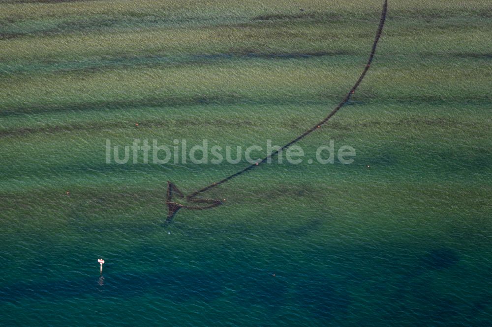 Luftbild Friedrichshafen - Netz für den Fischfang im Bodensee bei Friedrichshafen im Bundesland Baden-Württemberg, Deutschland