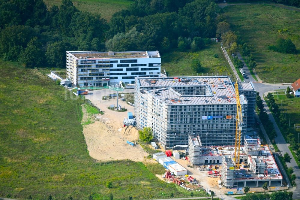 Schönefeld aus der Vogelperspektive: Neubau eines Büro- und Geschäftshauses FLEXGATE in Schönefeld im Bundesland Brandenburg, Deutschland