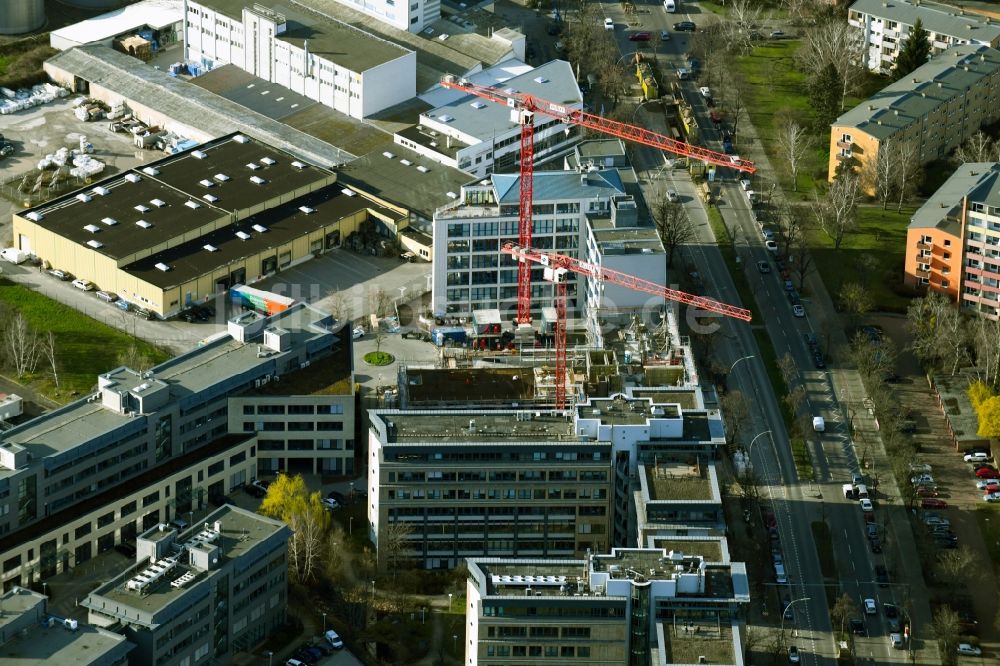 Berlin aus der Vogelperspektive: Neubau eines Büro- und Geschäftshauses an der Tempelhofer Weg im Ortsteil Britz in Berlin, Deutschland