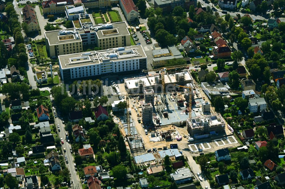 Berlin von oben - Neubau Holzbauprojekt und Mehrfamilienhaus-Wohnanlage im Ortsteil Kaulsdorf in Berlin, Deutschland