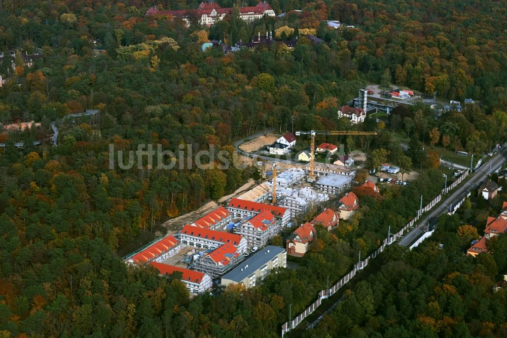 Luftaufnahme Beelitz - Neubau einer Mehrfamilienhaus-Wohnanlage am Ahornweg in Beelitz im Bundesland Brandenburg, Deutschland