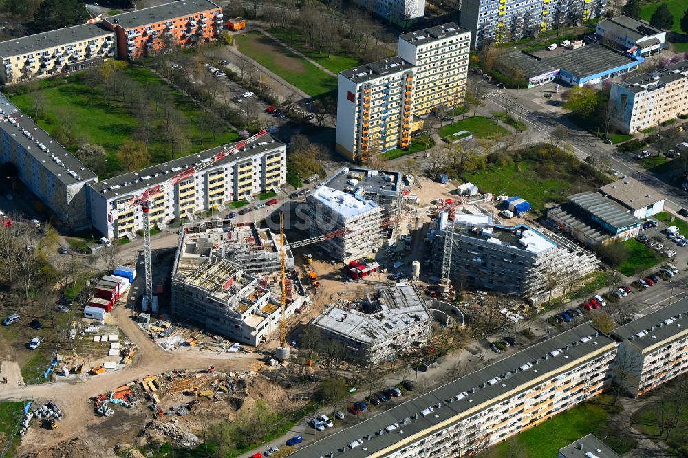 Luftaufnahme Halle (Saale) - Neubau einer Mehrfamilienhaus-Wohnanlage Begonienstraße - Muldestraße in Halle (Saale) im Bundesland Sachsen-Anhalt, Deutschland