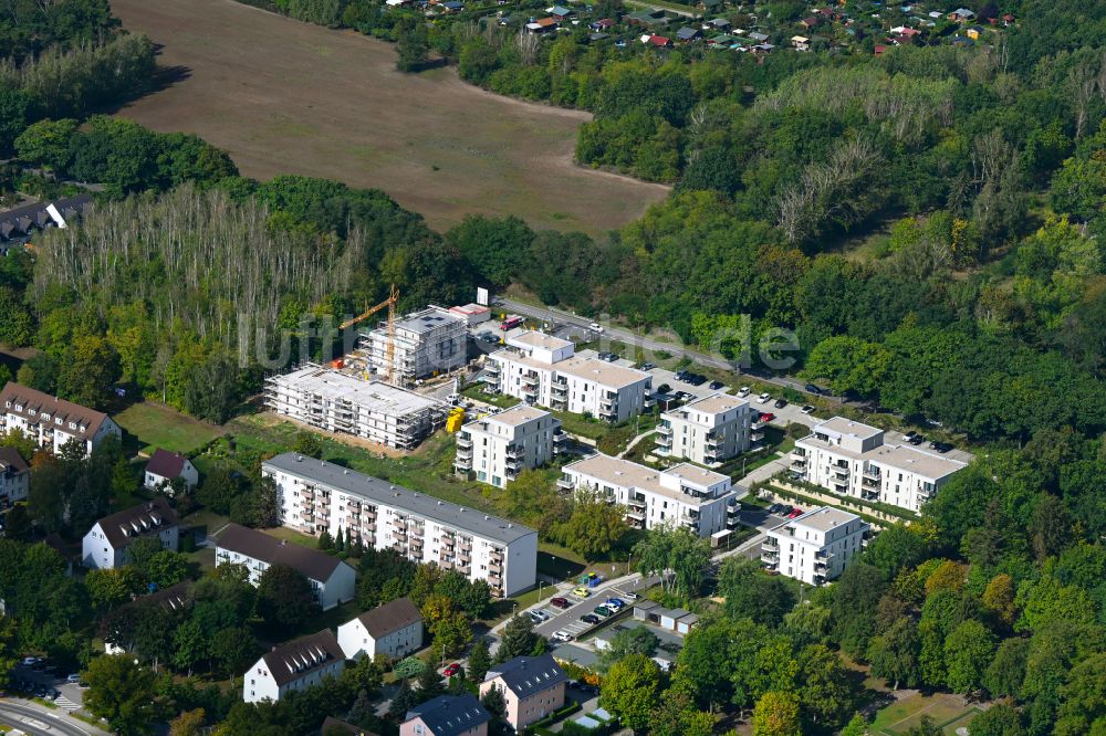 Königs Wusterhausen von oben - Neubau einer Mehrfamilienhaus-Wohnanlage Am Mühlenfeld in Königs Wusterhausen im Bundesland Brandenburg, Deutschland