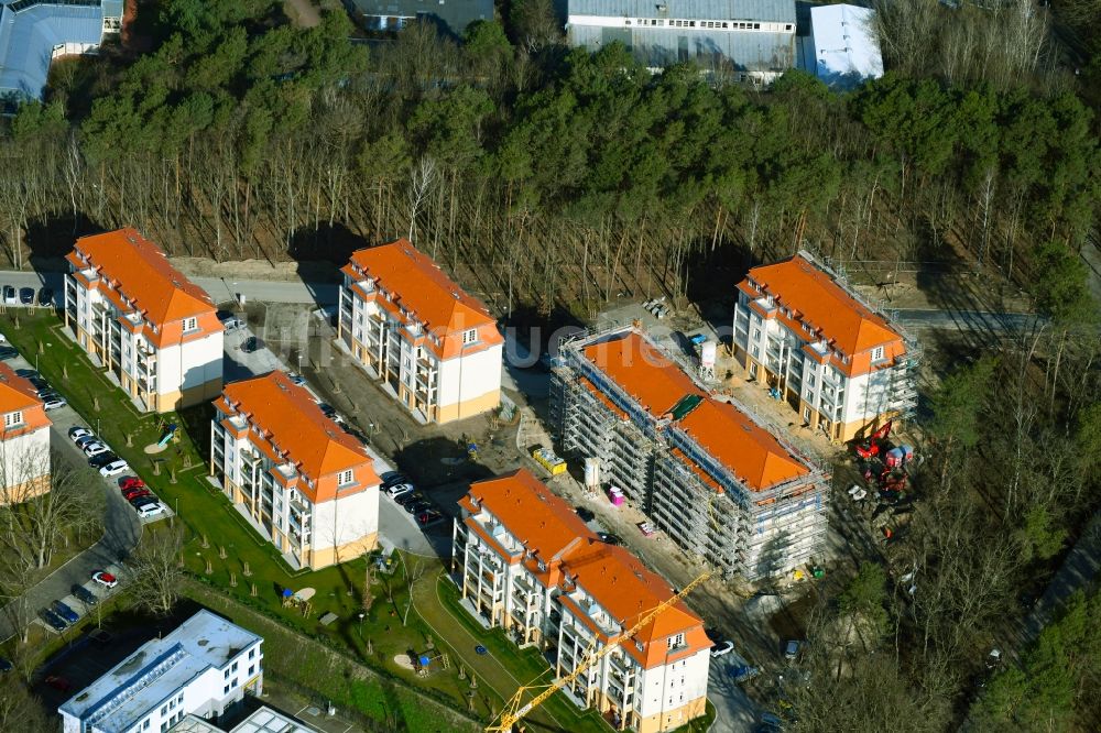 Luftbild Potsdam - Neubau der Mehrfamilienhaus- Wohnanlage Residenz Steinstraße in Potsdam im Bundesland Brandenburg, Deutschland