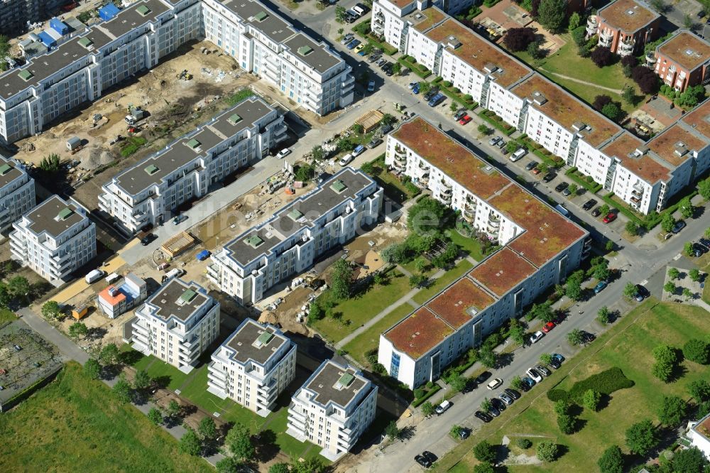 Luftbild Berlin - Neubau einer Mehrfamilienhaus-Wohnanlage zwischen Hasenholzer Allee, Spitzmühler Straße und dem Wiesenpark im Ortsteil Marzahn in Berlin