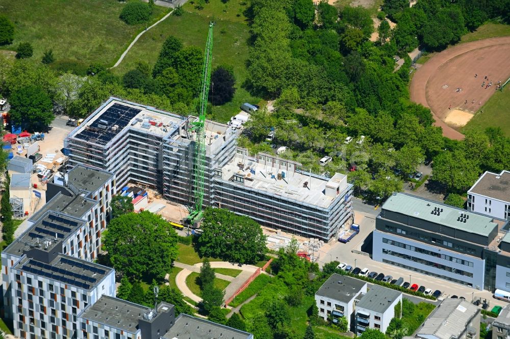 Bielefeld von oben - Neubau im Universitäts- Bereich der Universität Bielefeld an der Morgenbreede in Bielefeld im Bundesland Nordrhein-Westfalen, Deutschland