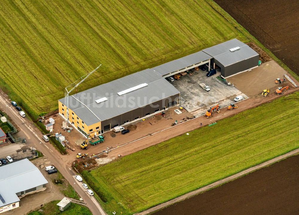 Luftbild Mahlberg - Neubau der Verkaufs- und Service- Gebäude des Fahrzeughändlers Pflug-Maurer GmbH in Mahlberg im Bundesland Baden-Württemberg, Deutschland