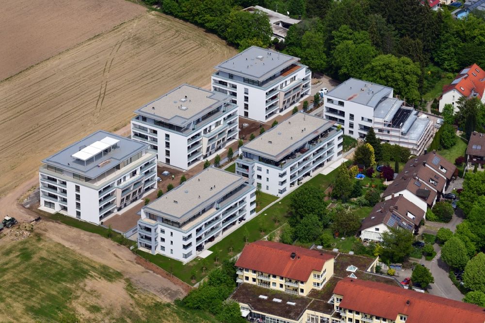 Bad Säckingen von oben - Neubau der Wohnanlage und des Neubaugebietes Wohnen am Schöpfebach in Bad Säckingen im Bundesland Baden-Württemberg