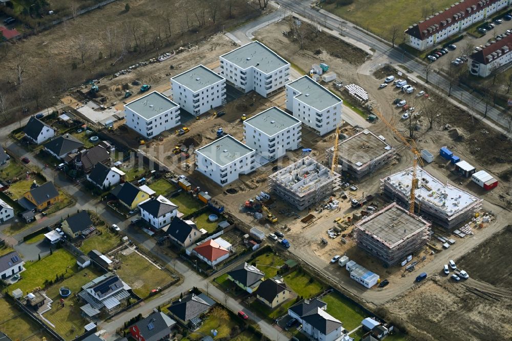 Luftbild Oranienburg - Neubau Wohngebiet der Mehrfamilienhaussiedlung der Wohnungsbaugesellschaft mbH Oranienburg in Oranienburg im Bundesland Brandenburg, Deutschland
